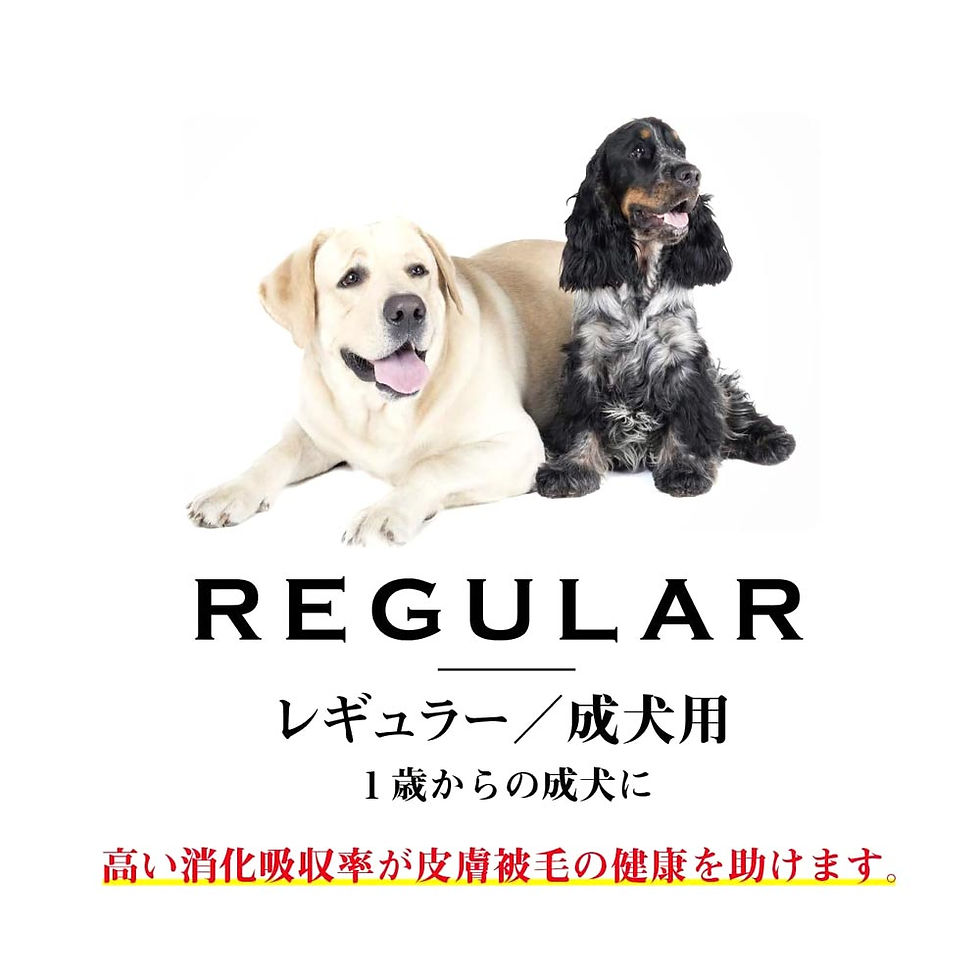 サムネイル： ワンフー プレミアムドッグ（ウサギ肉＆鶏肉タイプ）レギュラー 成犬用〈小粒〉wanfoo