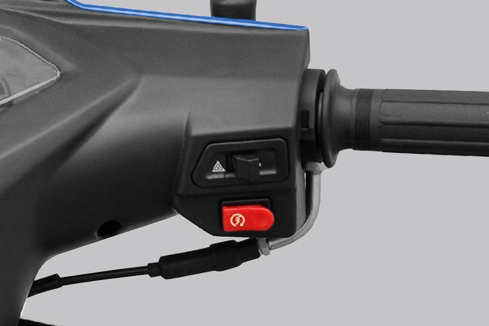 Miniatura: Motomel Blitz 110 ONE BL