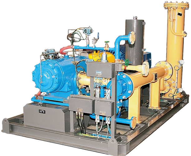 Rotary vane package_f_edited_edited.png