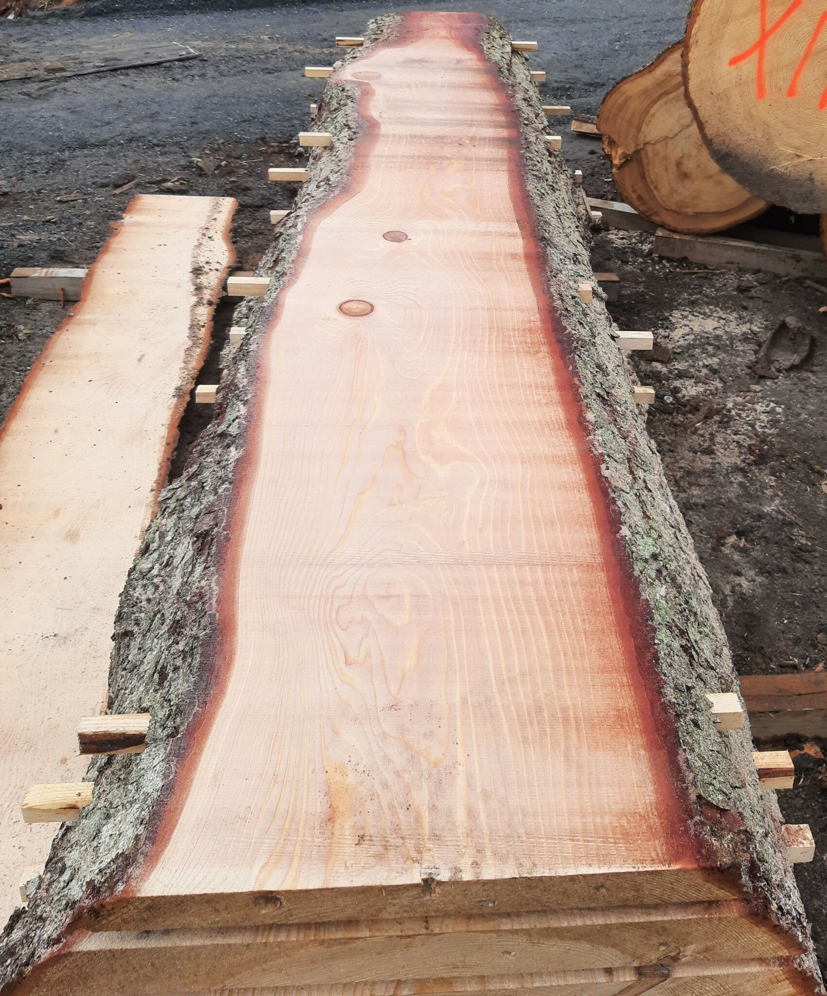 Gran 7 - 52x840x3400 - planke 1