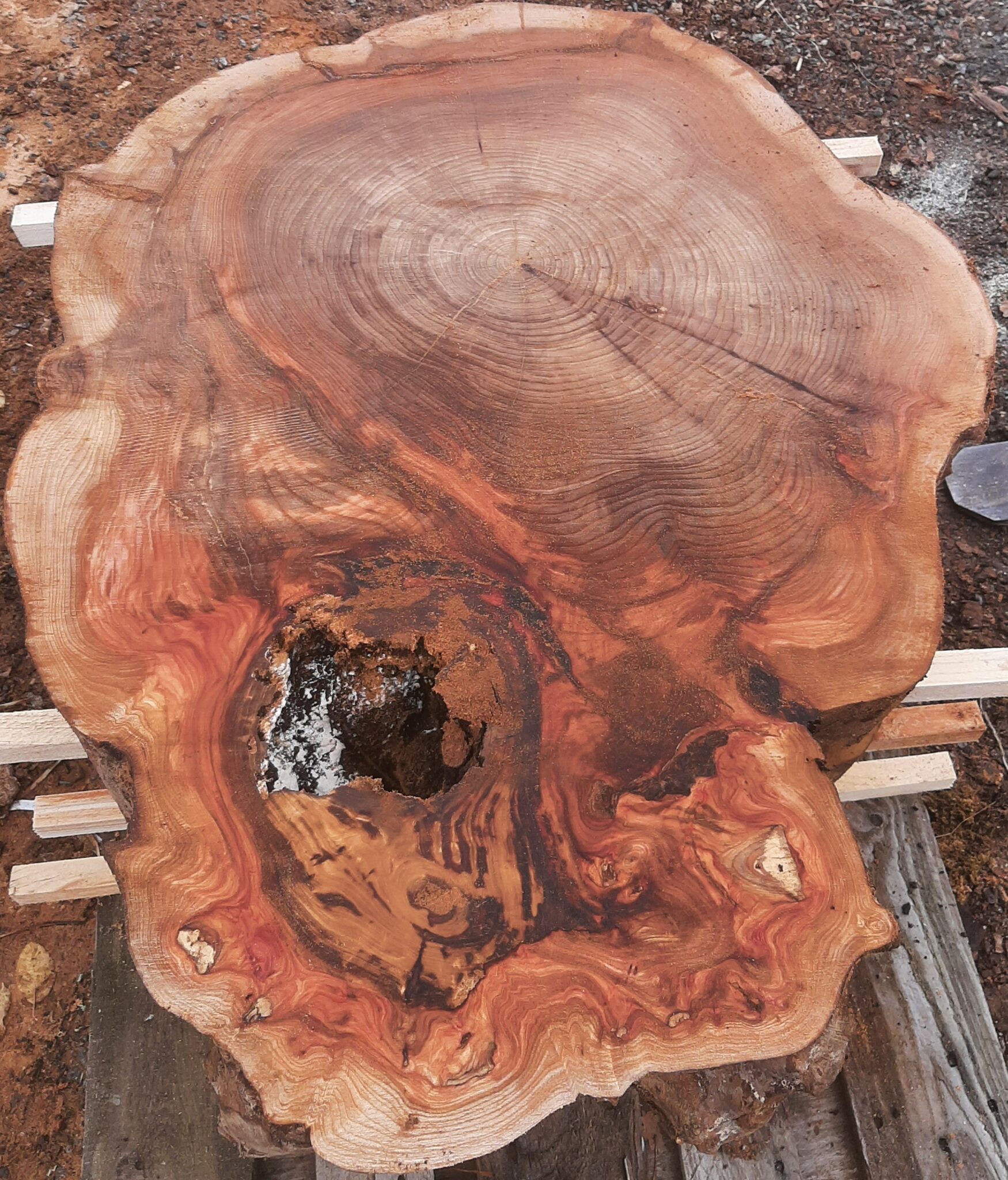 Alm 17 - 800 - Skive 8