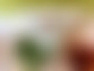 Rouleaux de Printemps