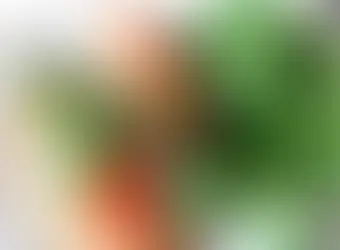 Tartine de patate douce