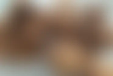 Cookies Vegan aux pépites de chocolat et noix