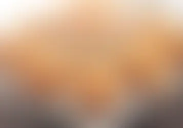 Les rillettes de saumon