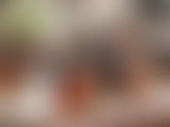 Rouleaux de printemps