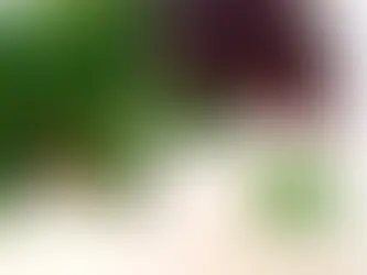 Coeurs de poulet au persil