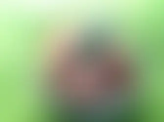 Taboulé : Chou-fleur, tomates, poivron, persil, menthe