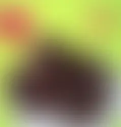 "Fat Bomb" - Bombe de gras