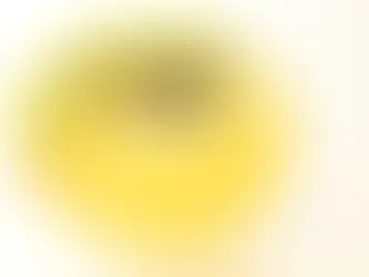 Compote pomme et coing