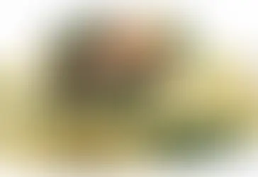 Tagliatelles Saumon Epinards