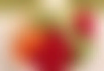 Sauce "light" et son plateau de légumes