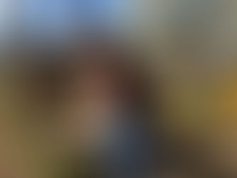 Blog: Happy Tails! Alfie! You Will Be Missed