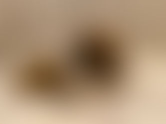 Here's Trigger! He's 4 Weeks Old!!