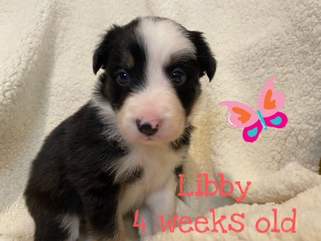 Libby "Lib" Eudy, 4 Weeks Old