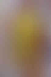 modelo-passarela-ulla-johnson