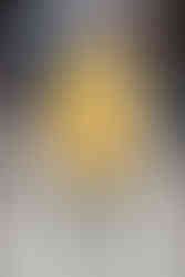 modelo-passarela-lutz-huelle