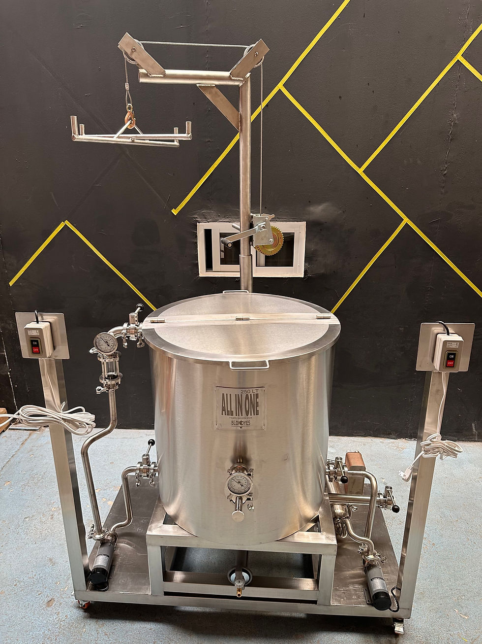 Miniatura: All in One Brewery con Polipasto 250lt Producción Final 150 a 180lt