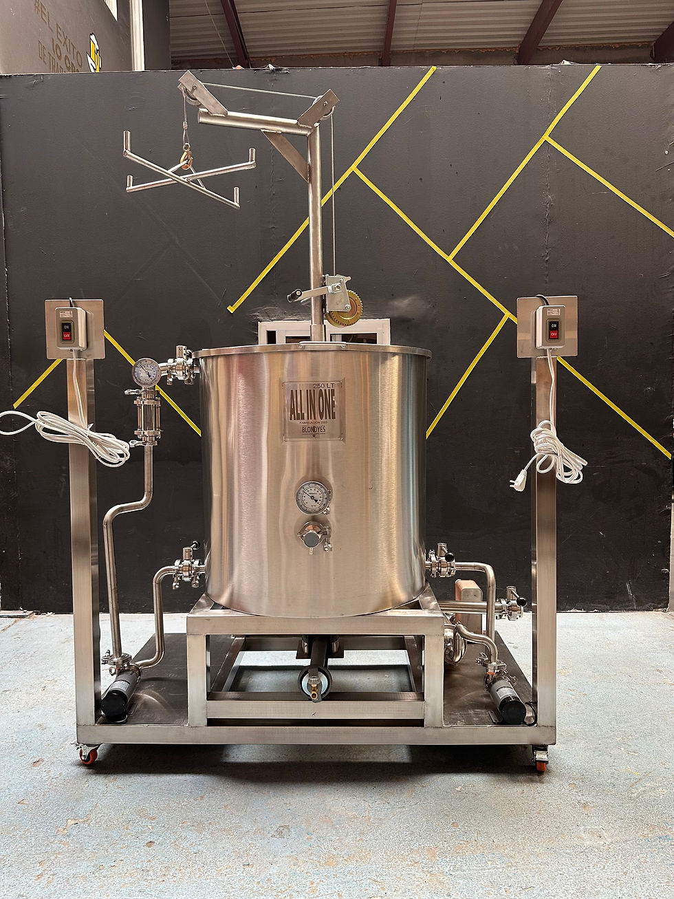 Miniatura: All in One Brewery con Polipasto 250lt Producción Final 150 a 180lt