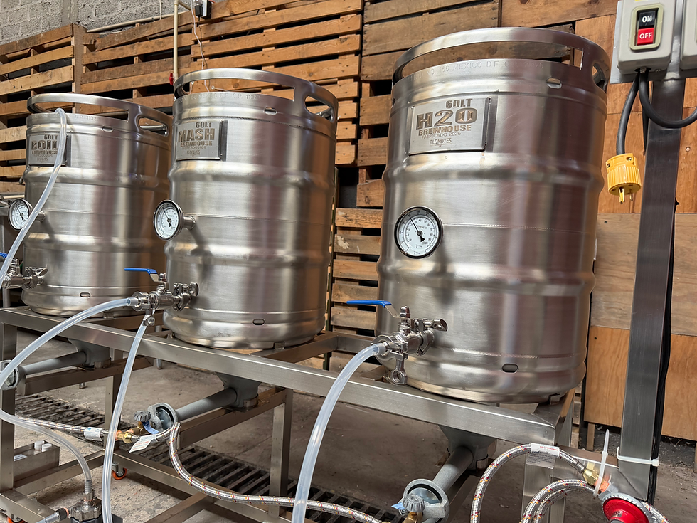 Miniatura: Brewhouse Barriles Promoción 60lt Finales Profesional