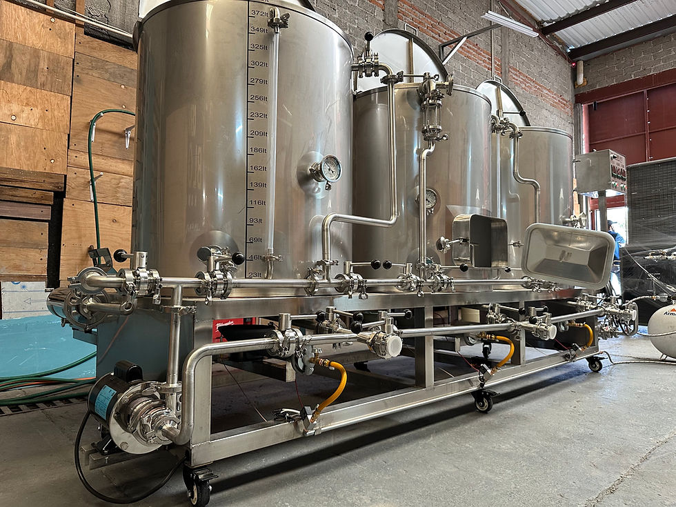 Miniatura: Equipo de Cocción Completo 500lt Finales Blondyes