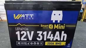 WattCycle 314 Mini Smart LiFePO4