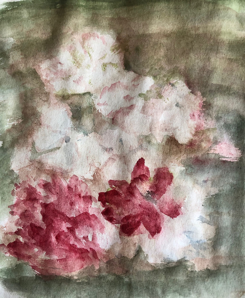 Aquarelle
