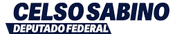 Logo Celso.png