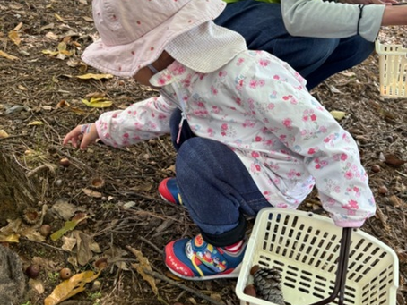 秋を探しに出かけよう！