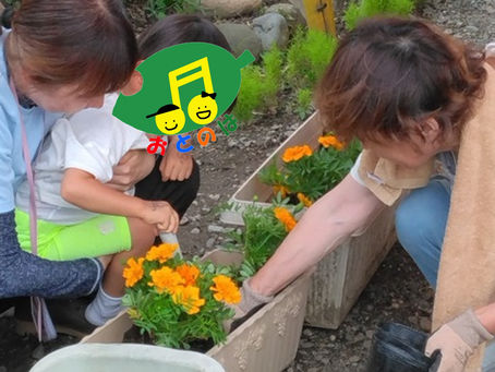 地域のボランティアさんと花植えをしました。