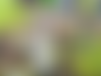 さつま芋の収穫をしました！