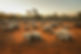 AdobeStock_187688973.jpeg