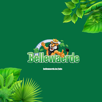 freelance fpv pilot operator Bellewaerde