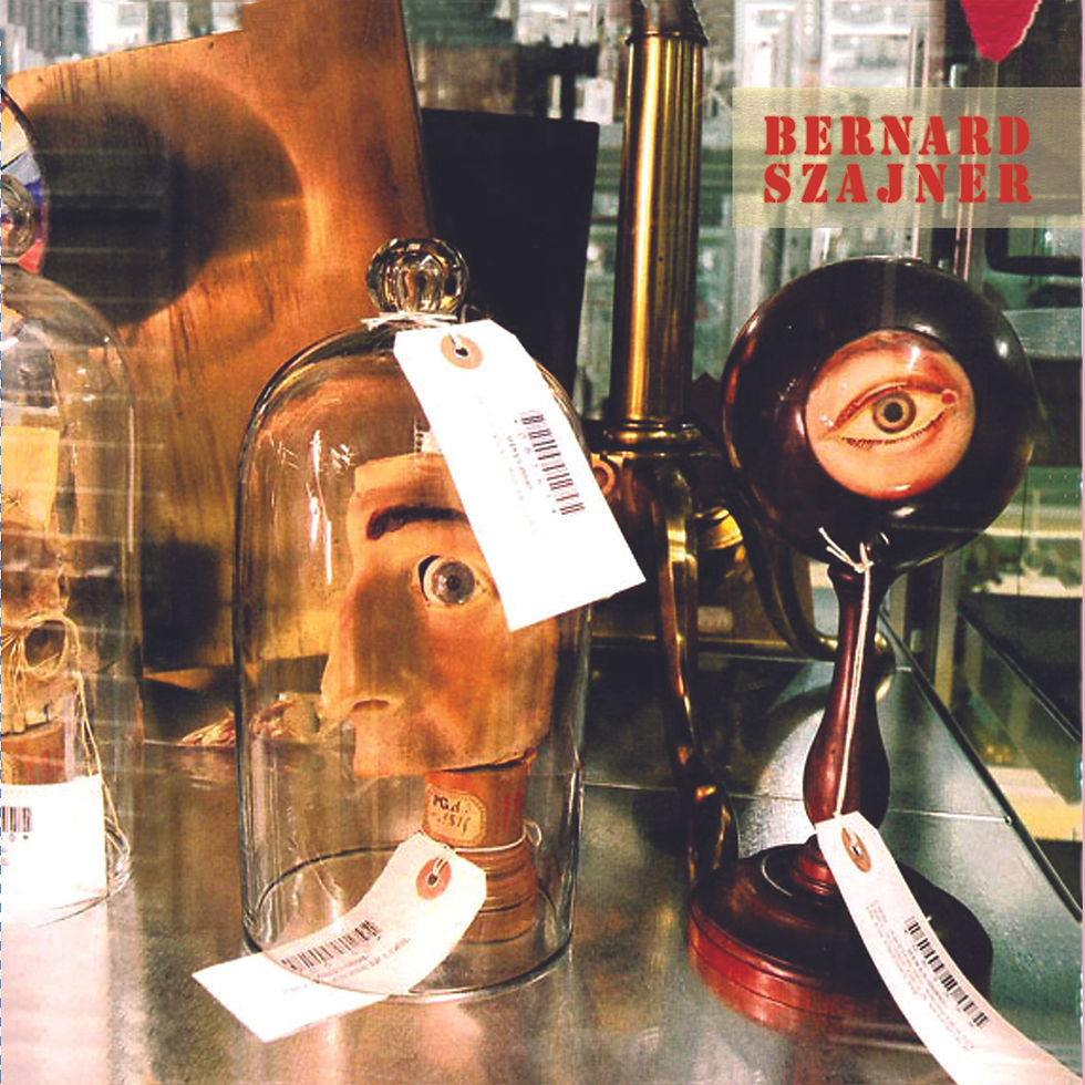 Thumbnail: Bernard Szajner - Szajner's Bits and Pieces