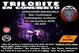 NUEVAS NOTICIAS. Sorteo y concierto