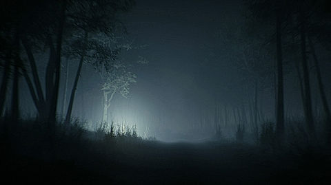 Nighttime CG forest environment created in Unreal Engine for close-up car chase scenes in Netflix’s Sky Rojo. Features detailed trees and vegetation seamlessly integrated with live-action footage