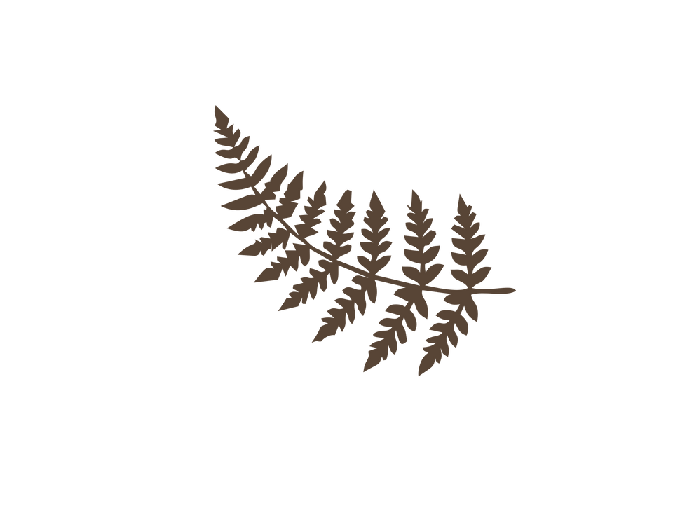 Wild Fern (1).png