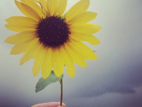 Scattering Good Like Wildflower Seeds