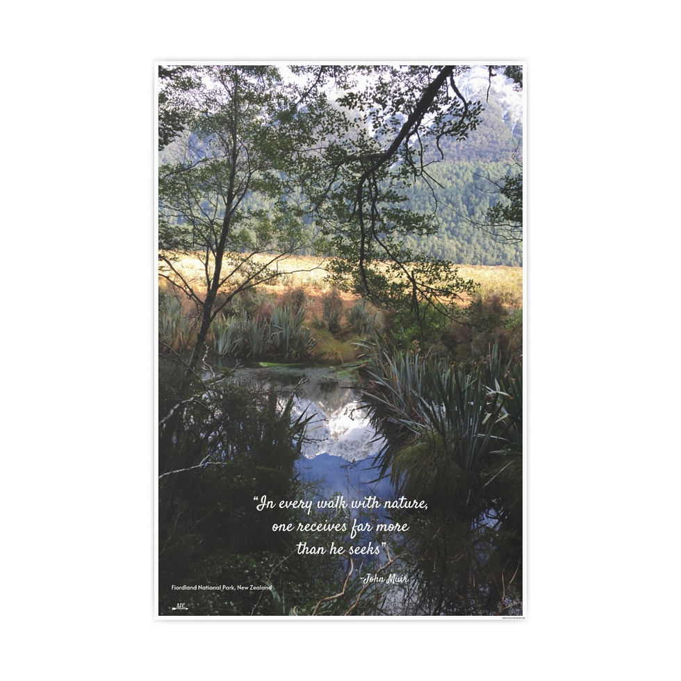Thumbnail: "Walk with Nature" Fiordland National Park Poster