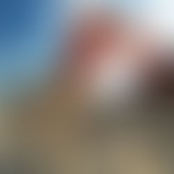 Demolition Companies