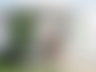 The Modern Revolution That Tiny Homes Australia Bring to Living