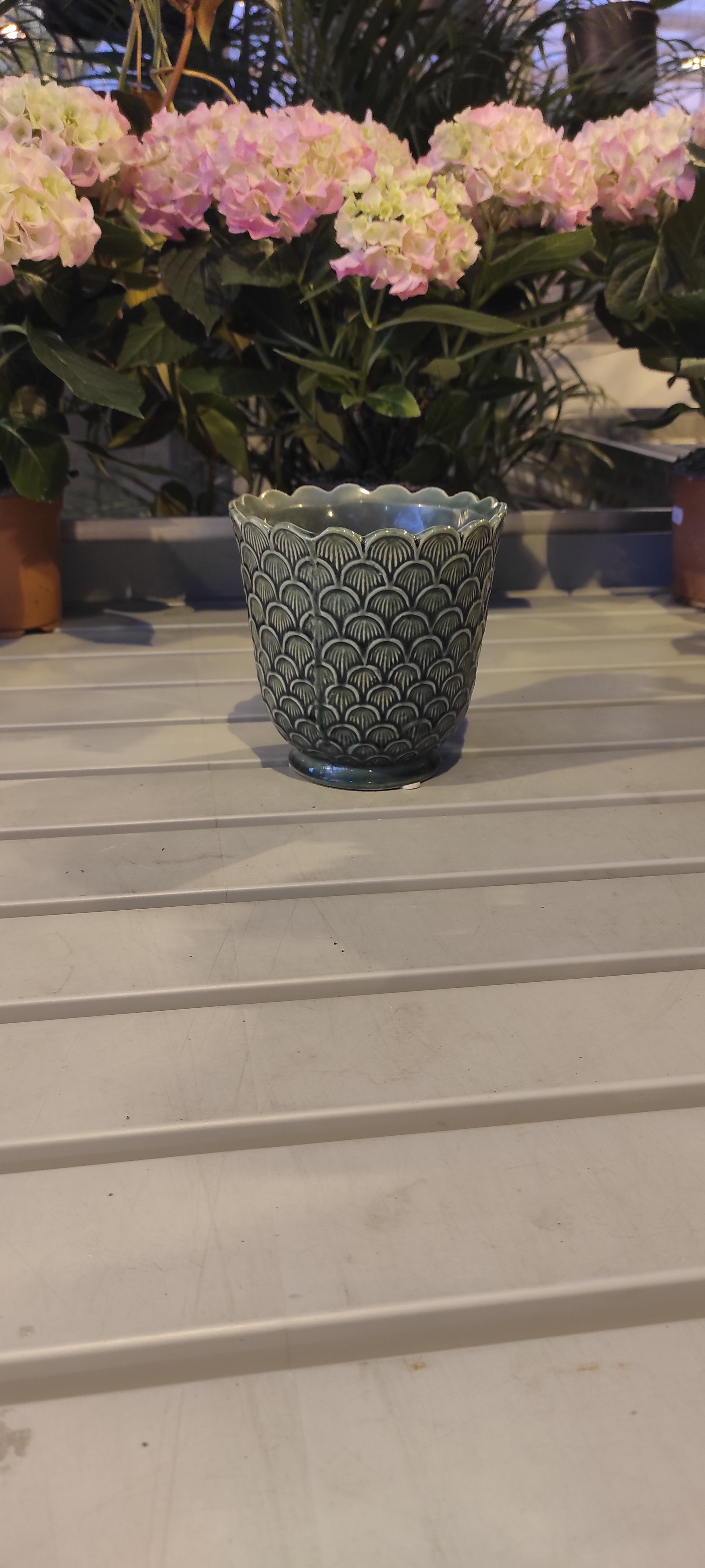 "Skjell" glasert potte