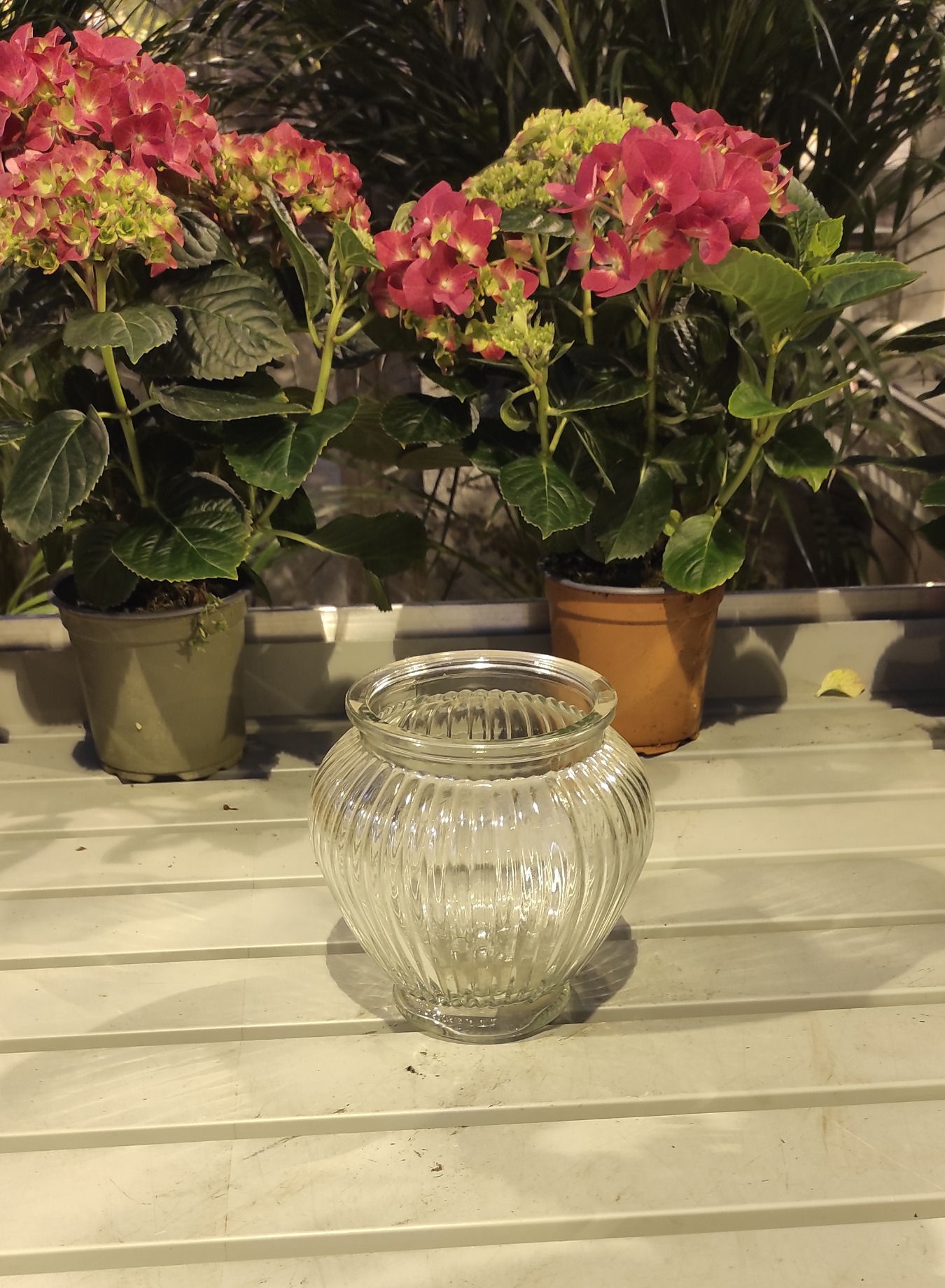Liten "KRIFON" glassvase