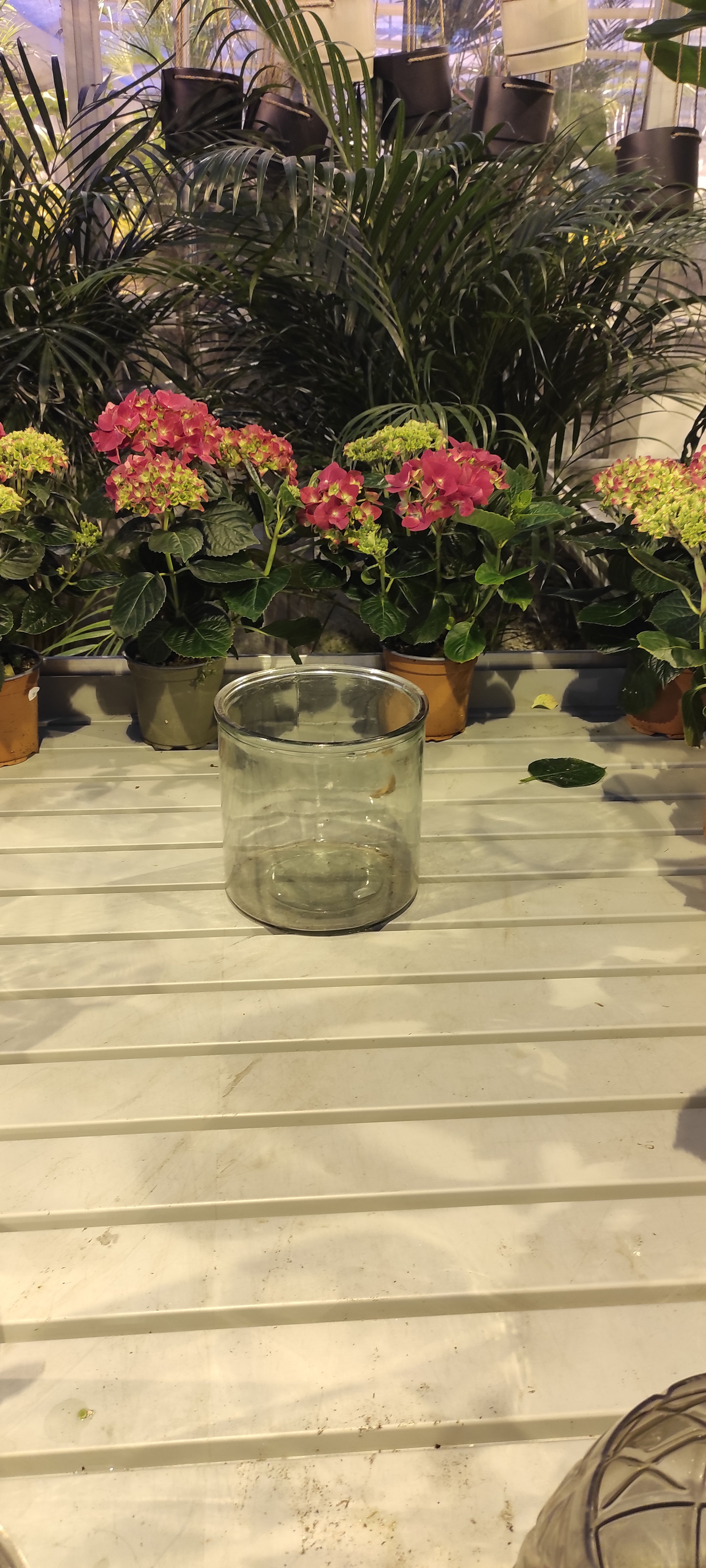 Liten glass-sylinder