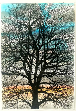 Le cortex cérébral, du latin Cortex signifiant écorce,  désigne la substance grise périphérique des hémisphères cérébraux. 
#camillegoujon #performance #pollution #artetscience #artenvironnement #Ecologyart #Botanique #arbre #forêt #Explosition 