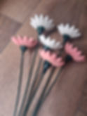 Thumbnail: Miniature Daisy