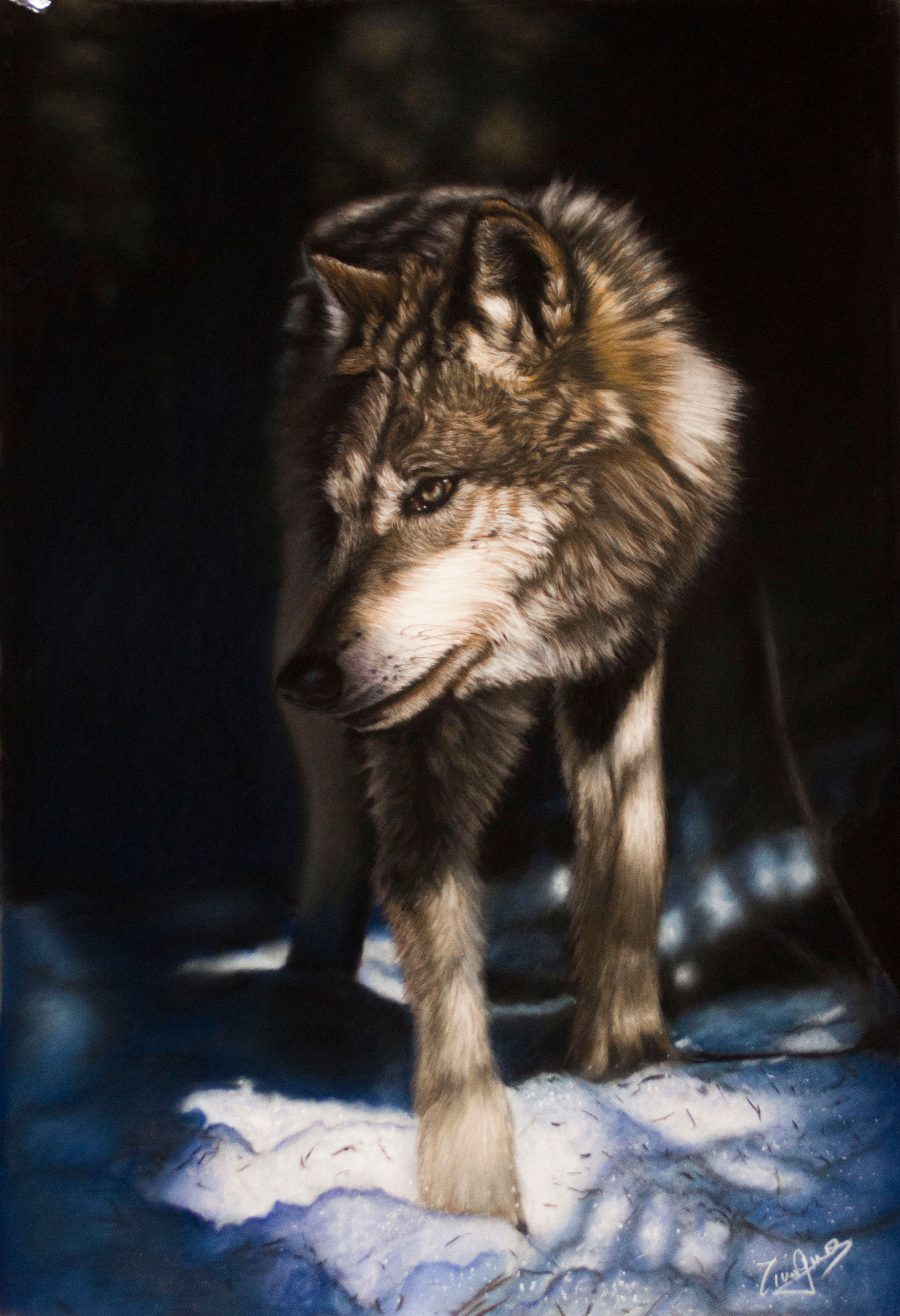 CORSO ONLINE Lupo a pastello soft