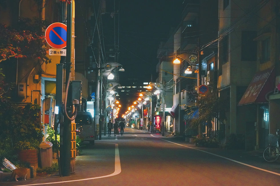 japan night life_edited_edited.jpg