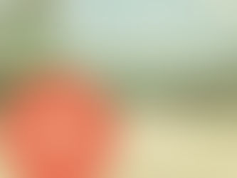 WELCOME TO HANOI INTERNATIONAL ASSEMBLY