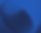 back dark big.png